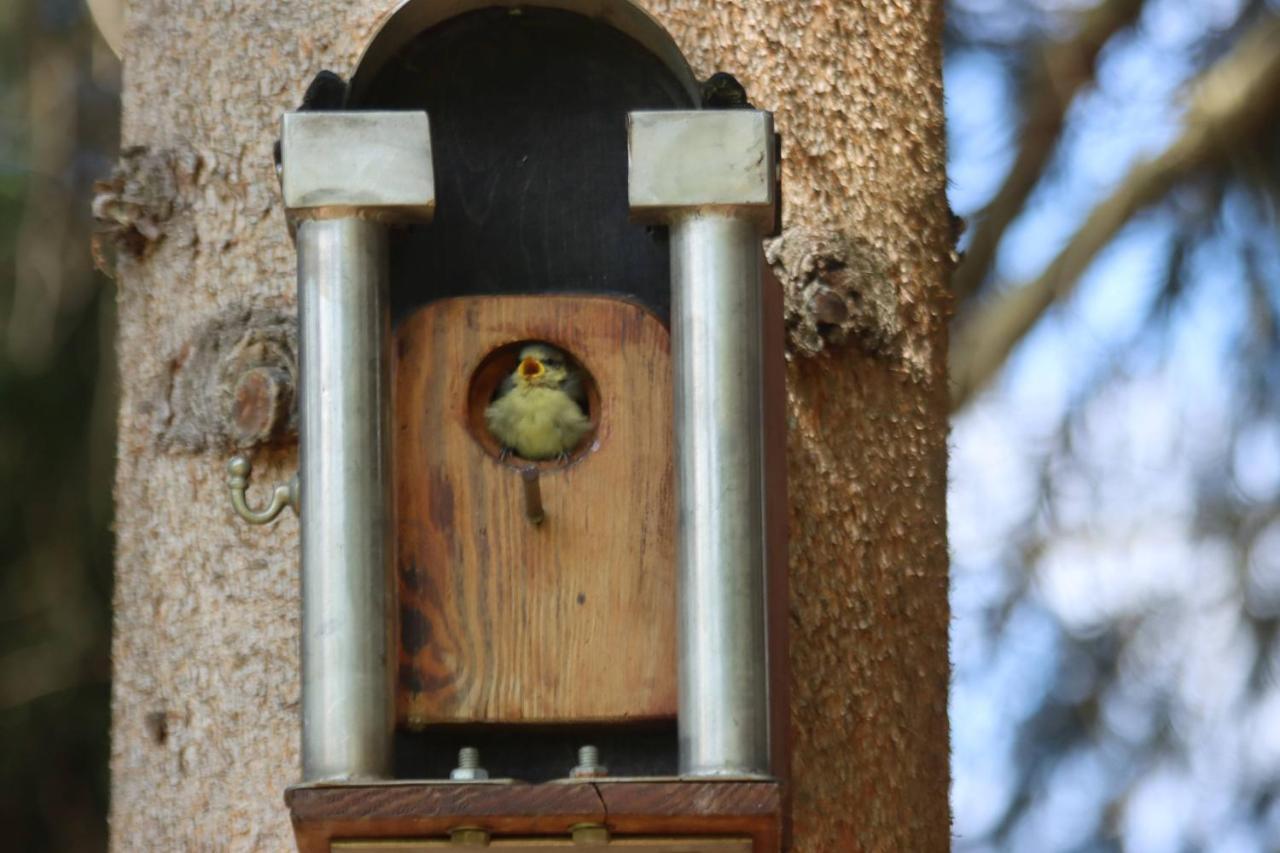Apartment Am Nationalpark Bayerwald Lindberg ภายนอก รูปภาพ