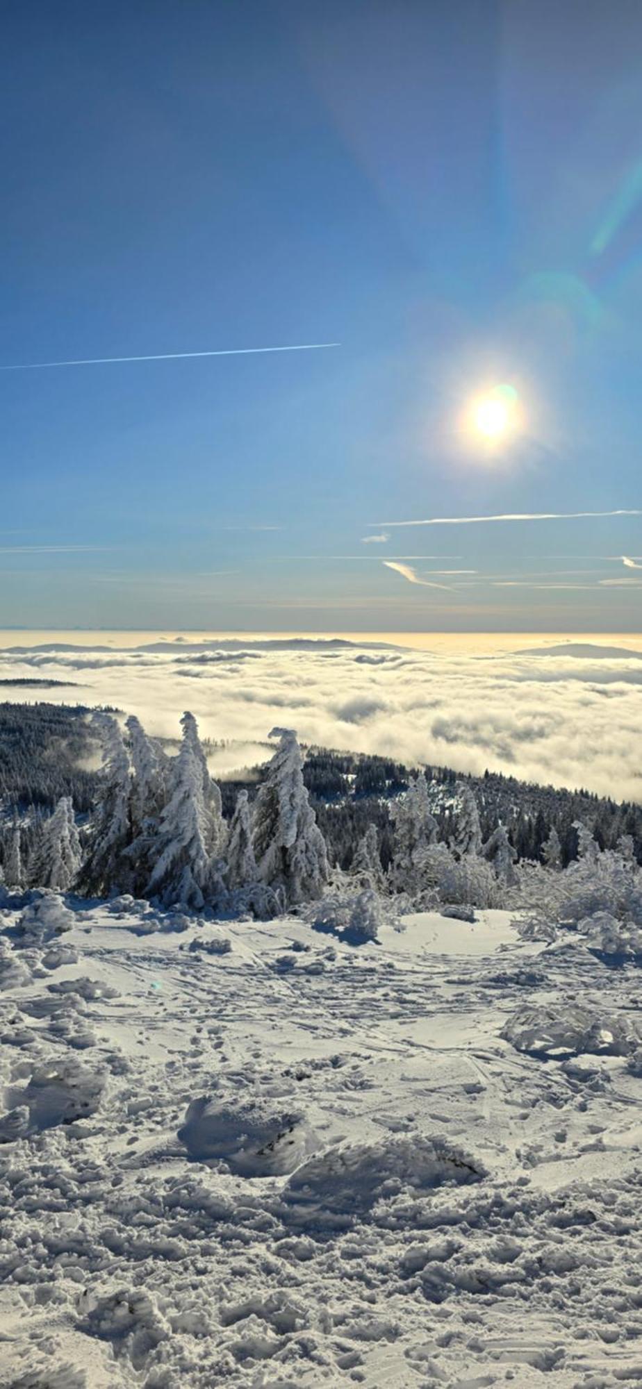 Apartment Am Nationalpark Bayerwald Lindberg ภายนอก รูปภาพ