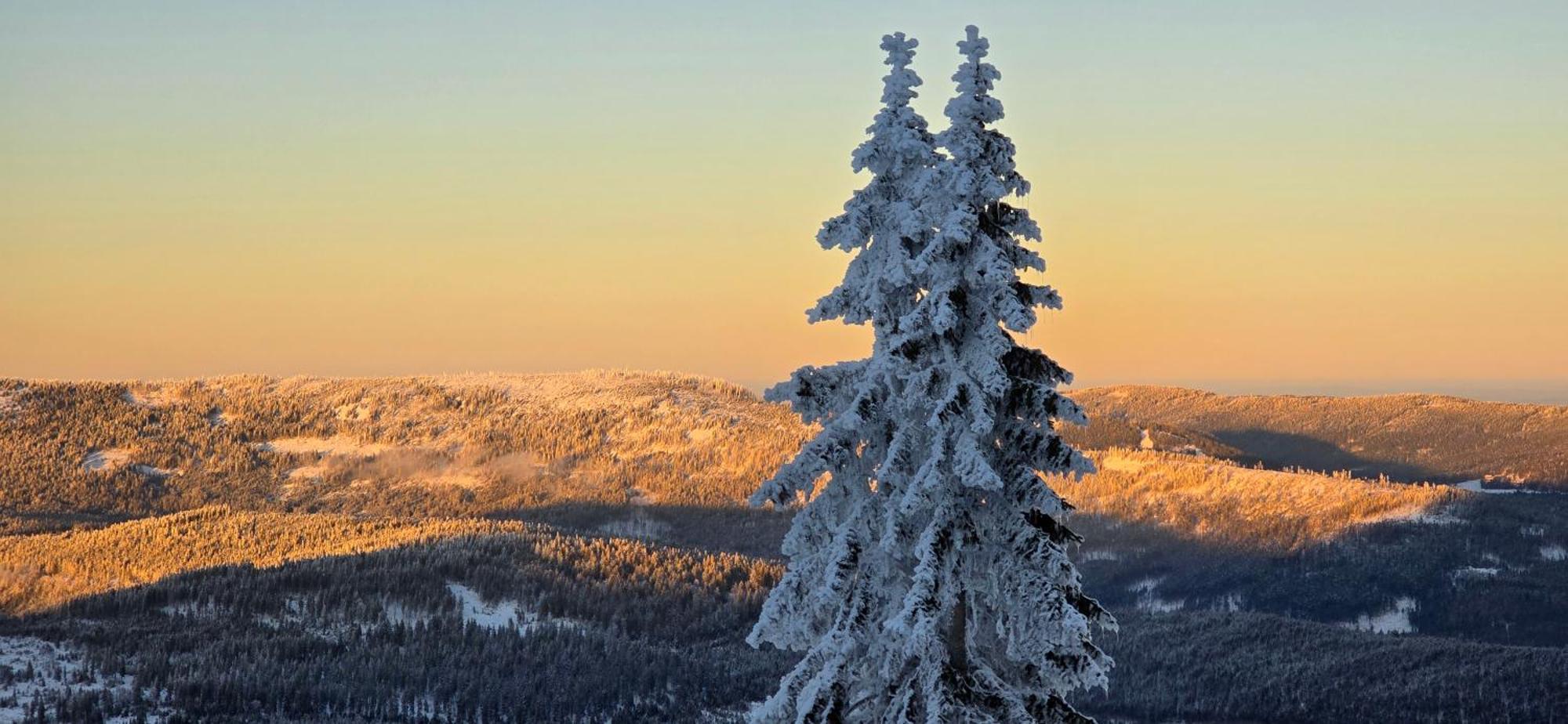 Apartment Am Nationalpark Bayerwald Lindberg ภายนอก รูปภาพ