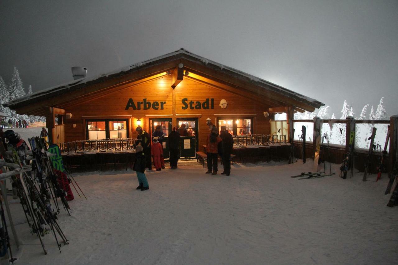 Apartment Am Nationalpark Bayerwald Lindberg ภายนอก รูปภาพ